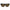 Black Acetate Sunglasses