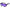 Purple Acetate Sunglasses