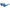 Blue Acetate Sunglasses
