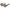 Brown Acetate Sunglasses