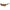 Brown Acetate Sunglasses