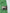 Green Cotton High Waist Cargo Trouser Pants