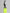 Yellow Green Rubber DG Embossed Adjustable Badge Holder