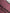 Pink Cotton Velvet DG MILANO Shoulder Shopping Borse Bag