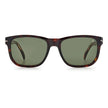 Brown Acetate Sunglasses