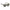 Brown Acetate Sunglasses