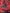 Silk Navy Red Coral Print Pullover Sweater