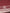 Cotton Burgundy Striped DG Logo Polo  T-shirt