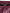 Burgundy Polyester Logo Embossed Crest Swimwear