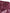 Burgundy Polyester Logo Embossed Crest Swimwear
