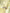 Yellow World Map Polyester Elastic Waistband Swimwear