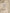 Beige Nylon Beachwear Men Boxer Short Swimwear