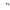 Cream Women Sunglasses