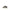 Black Calf Leather Bos Taurus Low Top Sneakers