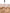 Beige Lace Logo Elastic Waist Thong Tanga Underwear