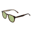 Brown Men Sunglass