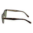 Brown Men Sunglass