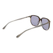 Brown Men Sunglass