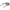 Beige Men Sunglasses