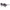 Black Women Sunglasses