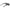 Black Men Sunglasses