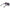 Black Women Sunglasses