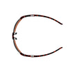 Brown Resin Sunglasses