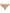 Beige Lace Nylon High Waist Panty Underwear