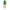 Green Cotton Polo Shirt