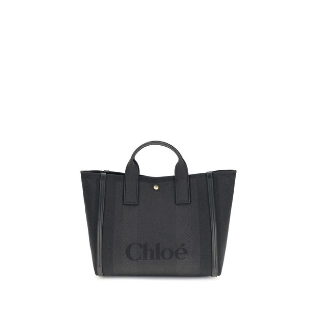 Carry Handbag