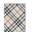 Silk Scarf