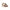 Beige Leather Women Sneaker