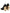 Black Gold Patent Leather Logo Heels Pumps Shoes