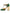 Green Patent Leather Vally Heels Pumps Shoes