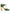 Green Patent Leather Vally Heels Pumps Shoes