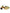 Green Patent Leather Vally Heels Pumps Shoes