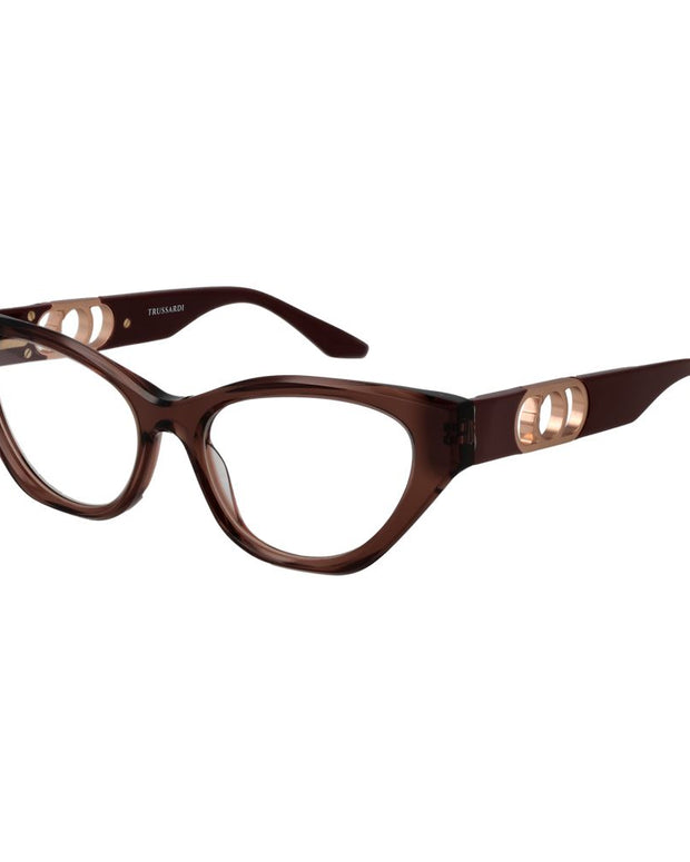 Brown Acetate Glasses (Frames)