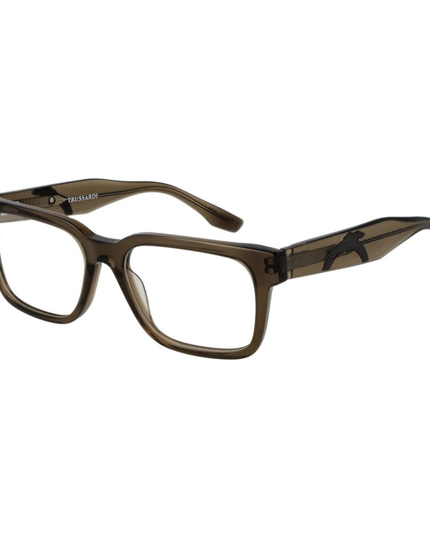 Brown Acetate Glasses (Frames)
