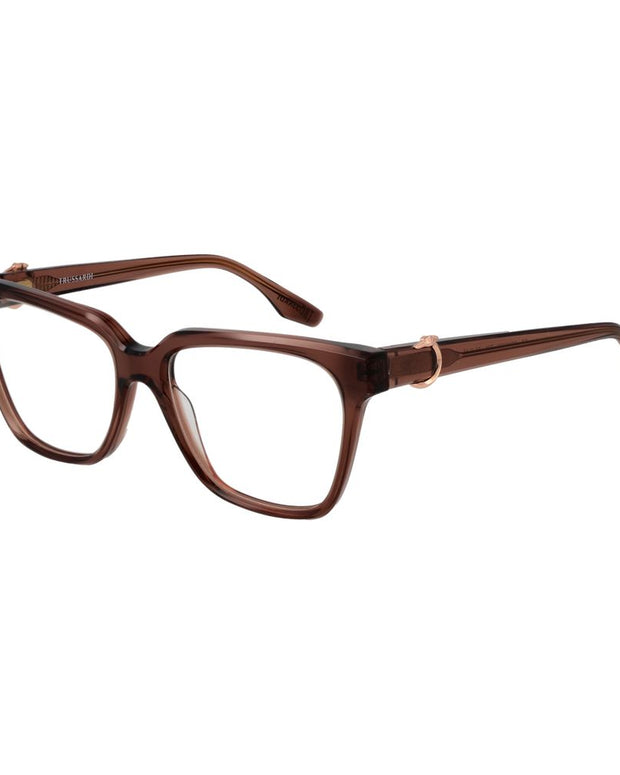 Brown Acetate Glasses (Frames)