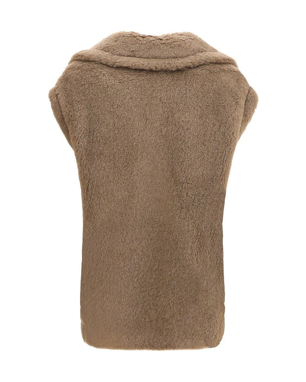 Brown Alpaca Vicugna Pacos Coat