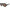 Brown Acetate Sunglasses