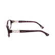 Purple Plastic Frames