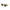 Brown Acetate Sunglasses