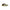 Green Polyester Men Sneaker