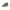 Green Polyester Men Sneaker